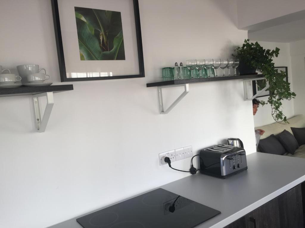 Pasithea Family Apartment Larnaca Zewnętrze zdjęcie